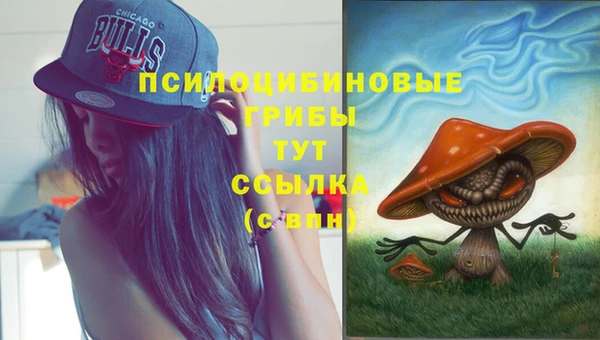 твердый Белокуриха