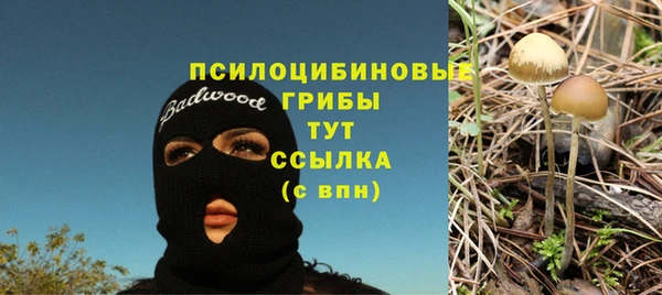 твердый Белокуриха
