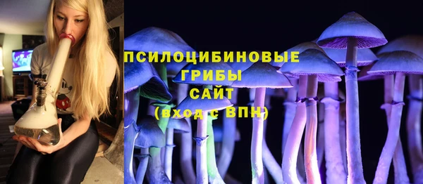 твердый Белокуриха