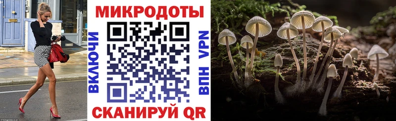 Псилоцибиновые грибы GOLDEN TEACHER  где купить наркоту  Кувшиново 