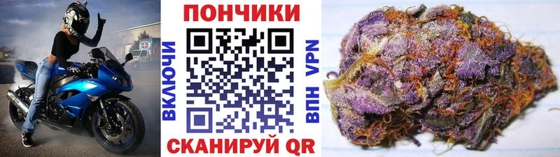 цена   Кувшиново  Бошки марихуана Ganja 